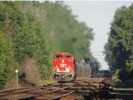 CP 7004 on B725